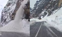 Hakkari-Çukurca karayolunda 2 ayrı çığ düştü, yol ulaşıma kapandı