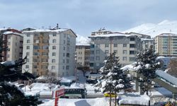 Bitlis’te bir yılda 4 bin 866 konut satışı yapıldı