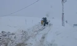 Bitlis’te 51 Yerleşim Yerine Ulaşım Sağlanamıyor