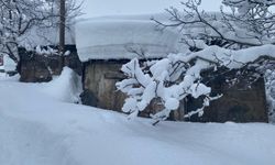 Bitlis’te Tek Katlı Evler Kara Gömüldü: 211 Köy Yolu Ulaşıma Kapandı