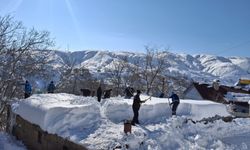 Bitlis Belediyesi’nden Örnek Davranış: Yaşlı Vatandaşın Damını Temizlediler