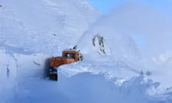 Bitlis’te kapalı köy yollarının açılması için çalışmalar sürüyor