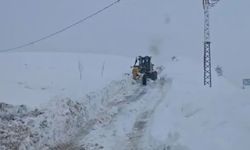 Bitlis’te kapalı köy yolları tek tek açılıyor: 14 yol için çalışmalar sürüyor
