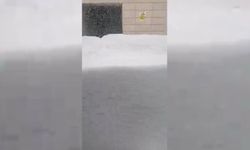 Bitlis’te işyeri kardan dolayı kapanan vatandaşın sitemi