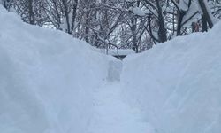 Bitlis Haber’in Objektifinden Dünden Bugüne Kar Yağışı