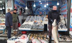 Soğuk hava balık tezgâhlarını vurdu ama talebi artırdı