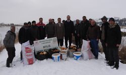 Bitlis’in zorlu kış şartlarında yaban hayvanları için yemleme çalışmaları sürüyor