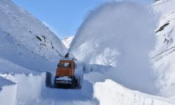 Bitlis 18 köy yolunun ulaşıma açılması için çalışmalar sürüyor