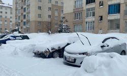 Bitlis’te soğuğa karşı araçlar battaniyeyle korunuyor