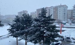 Bitlis’te Kar Yağışı Etkili Oldu