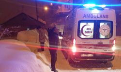 Bitlis’te Çığ Altında Kalan 2 Vatandaş Kurtarıldı