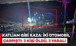 Katliam Gibi Kaza: İki Otomobil Çarpıştı, 3 Ölü, 3 Yaralı