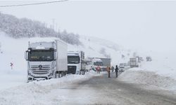 Muş-Bingöl Yolunda Kar Alarmı: 60 Araçtaki 140 Kişi Kurtarıldı