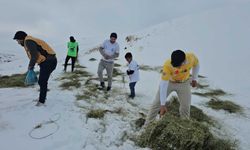 Adilcevaz’da Yaban Hayvanları Unutulmadı: Süphan Dağı Eteklerine Yem Bırakıldı