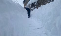 Bitlis’te 335 yerleşim yerine ulaşım sağlanamıyor