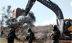 Batı Şeria’da Zeytinlikler Hedefte: Bir Haftada 777 Ağaç Söküldü