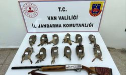 Van’da keklik avlayan kişiye 81 bin TL ceza