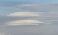 Tatvan Semalarında Nadir Görülen Mercan Bulutu Görüntülendi