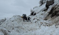 Hakkâri’de Çığ Düştü, Öğrenci Servisi Yolda Kaldı