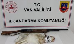 Van’da tavşan avlayan şahsa 29 bin TL ceza