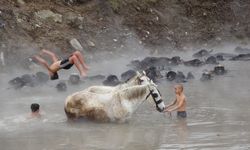 Bitlis’te kışın ortasında manda ve atların sıcak su keyfi