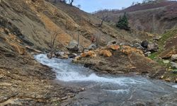 Diyarbakır’da Kaybolan Yaşlı Adam 11 Gündür Aranıyor