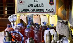 Van’da gümrük kaçakçılığı operasyonu