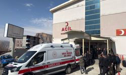 Kontrolden Çıkan Araç Kaza Yaptı: 8 Yaralı