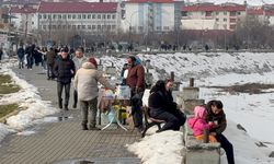 Tatvan’da Bahar Havası Van Gölü Sahili’nde Yoğunluk Oluşturdu
