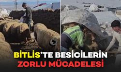Bitlis'te Besicilerin Zorlu Mücadelesi