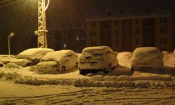 Bitlis’te Kar Yağışı Etkili Oldu