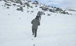 Muş’ta Kaçak Avcılığa Geçit Yok