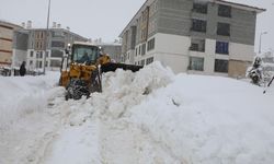 Bitlis’te Karla Mücadele Sürüyor: Köy Yollarının Büyük Bölümü Açıldı