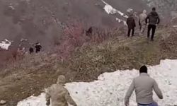 Bitlis’te araç uçuruma yuvarlandı: İlk belirlemelere göre 3 ölü, 5 yaralı