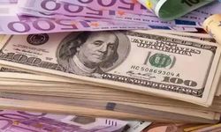 24 Şubat Döviz Kurlarında Son Durum