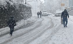 Bitlis’te kar yağışı hayatı felç etti