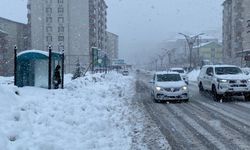 Bitlis’te Kuvvetli Yağış ve Kar Uyarısı
