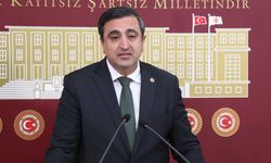 Ramanlı: Özgürlük Adı Altında Ahlaki Çöküşe Göz Yummak Sorumsuzluktur