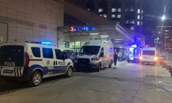 Hayvan Otlatma Tartışması Kavgaya Dönüştü: 15 Yaralı