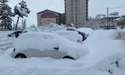 Bitlis tekrardan kara gömüldü: 304 köy yolu kapandı