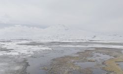 Bitlis'te Sarısu Sazlıkları ve Süphan Dağı'nın Karlı Zirvesi Hayran Bıraktı
