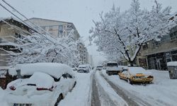 Tatvan’da Kar Kalınlığı 1 Metreyi Buldu