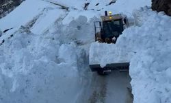 Bitlis'te köy yoluna çığ düştü