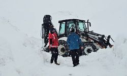 Süphan Dağı’nda Zirve Denemesine Kar ve Tipi Engeli