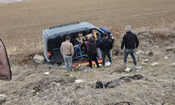 Bitlis'te şarampole takla atan araçta 1 kişi yaralandı