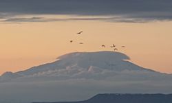 Süphan Dağı zirvesindeki bulut denizi hayranlık uyandırdı
