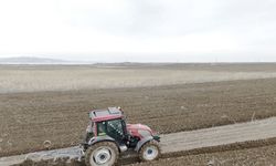 Adilcevaz’da Arpa Ekimi İçin Mesai Başladı