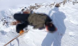 Van'da Kırsal Alanda Erkek Cesedi Bulundu