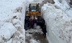 Van'da yola çığ düştü