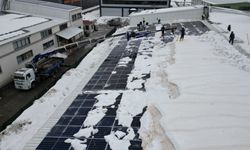 Bitlis OSB’de karla mücadelede vinçli çözüm